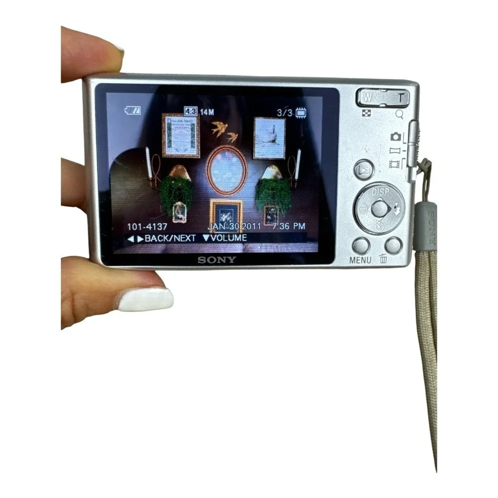 Sony Cyber-Shot DSC-W610 Digital Camera Silver 14.1 MP New Battery 4X Zoom